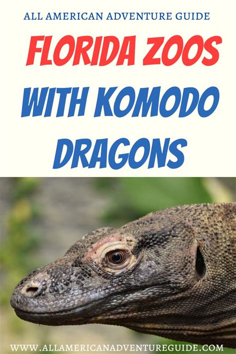 Komodo florida. Things To Know About Komodo florida. 